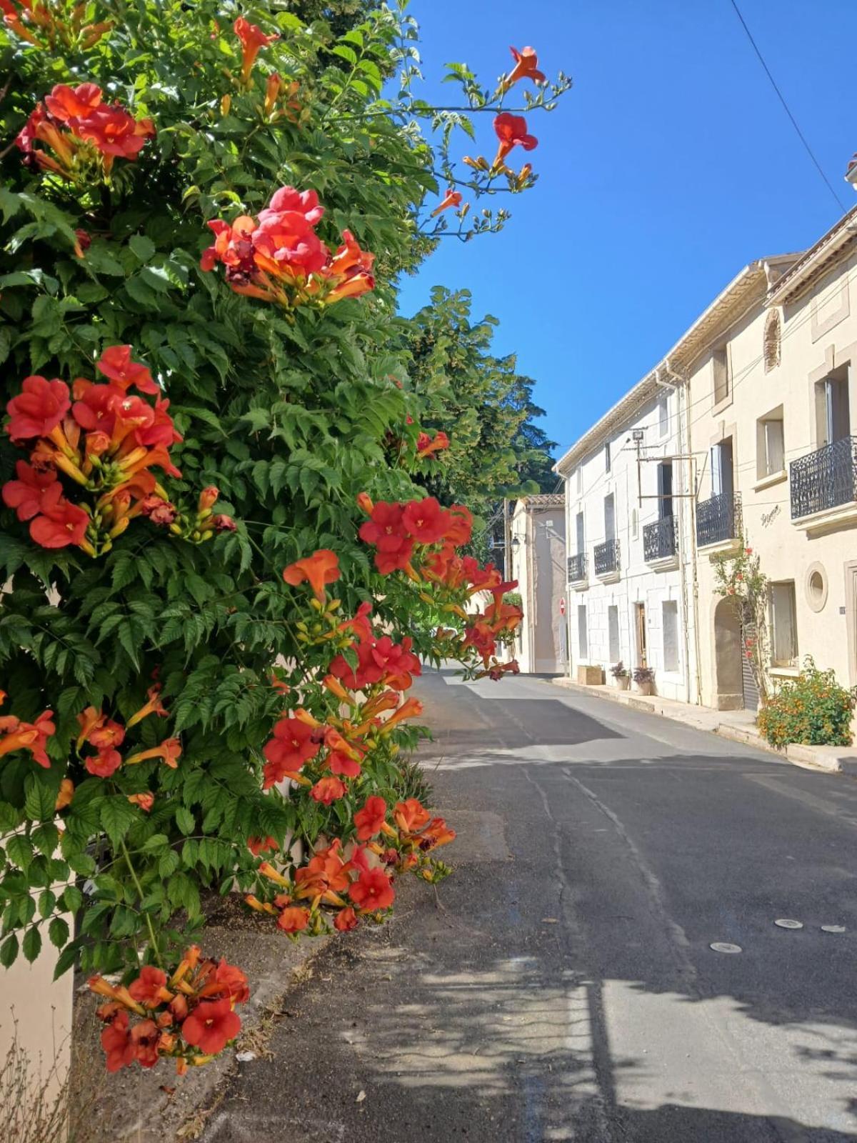 L'Oostaloo Logement De Vacances Usclas-l'Herault Kültér fotó